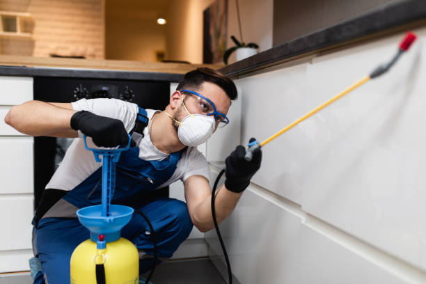 Best Affordable Pest Control Services  in Lewiston, MN
