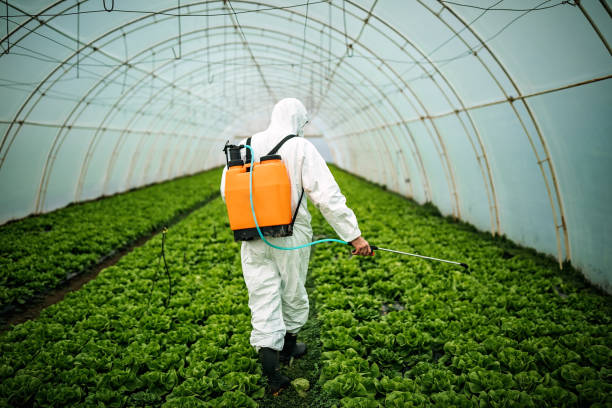 Trusted Lewiston, MN Pest Control Experts