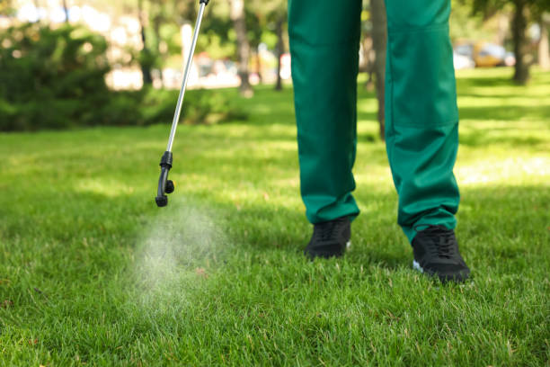Best Local Pest Control Services  in Lewiston, MN