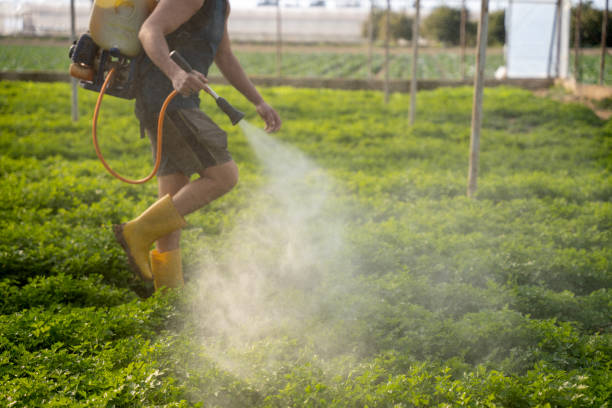 Best Pest Removal Services  in Lewiston, MN
