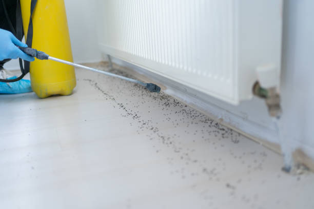 Best Bed Bug Extermination  in Lewiston, MN