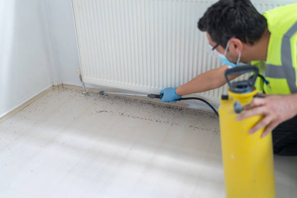 Best Pest Prevention Services  in Lewiston, MN
