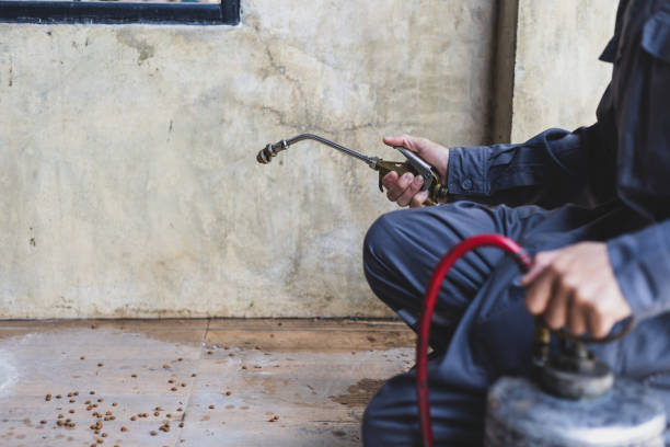 Best Residential Pest Control  in Lewiston, MN